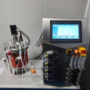 Bioréacteur en verre 7L Données collectées pour l'optimisation des processus. Bioréacteur en verre à paroi unique - Product Image 3