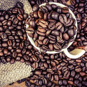 Café Robusta Tostado y Molido Especialidad de Vietnam, Suministro a Granel para Importadores, Solo Negro y Partido al 0.1%, Certificado por el USDA - Product Image 1