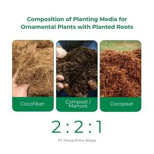 อินฟาร์ม ใยมะพร้าวคุณภาพสูง 1 ลิตร วัสดุคลุมดินอินทรีย์ อายุการเก็บรักษา 24 เดือน สำหรับปลูกพืชไร้ดินและปลูกผลไม้ - Product Image 3