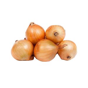 Granulés d'oignon blanc déshydratés de haute qualité, les plus vendus en gros - Product Image 2