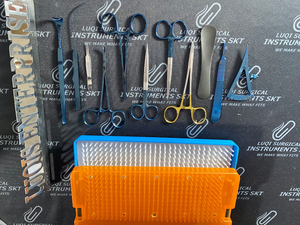 Juego de Instrumentos para Blefaroplastia de 11 Piezas de Acero Inoxidable con Bandeja de Esterilización de Plástico y Tapete de Silicona, Certificado CE - Product Image 4