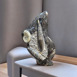 Vente en gros : Spécimen fossile d'Orthocéras de haute qualité, plaque d'ammonite, plaque de calmar, pièce sculptée en forme d'hexagone, cristal taillé - Product Image 4