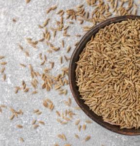 Graines <span class=keywords><strong>de</strong></span> <span class=keywords><strong>fenouil</strong></span> fraîchement récoltées, épices naturelles pures, pour l'approvisionnement des cuisines et les marchés d'épices en gros, emballage en vrac - Product Image 2