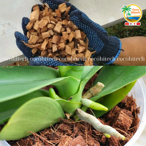 เศษมะพร้าวธรรมชาติย่อยสลายได้สำหรับการปลูกต้นไม้ในสวน คุณภาพสูง ราคาดีที่สุด - Product Image 4