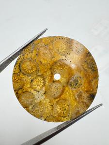 Esfera Redonda de Coral Natural para Reloj, 30 mm de Diámetro, 0.80 mm de Grosor, Clásica, Elegante y de Lujo - Product Image 5