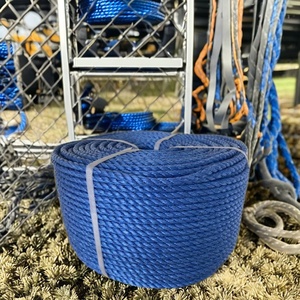 Cuerdas de Pesca de Polipropileno (PP) Danline de Alta Calidad, Estructura Trenzada de 3/4 Hilos, Tamaños de 3-40 mm, Anti-UV, para Pesca Marina, EE. UU. - Product Image 5
