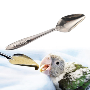 Cuillère d'alimentation <span class=keywords><strong>pour</strong></span> perroquet en acier inoxydable, cuillère <span class=keywords><strong>pour</strong></span> l'élevage manuel des oiseaux, cuillère <span class=keywords><strong>pour</strong></span> l'alimentation au <span class=keywords><strong>lait</strong></span> des poussins, fournitures d'alimentation <span class=keywords><strong>pour</strong></span> oiseaux - Product Image 5