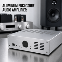 Boîtier en aluminium anodisé transparent OEM avec trous découpés au laser, boîte métallique de précision pour amplificateur audio