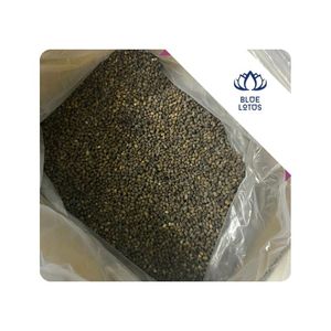 [HIGH QUALITY] Papaya <b>Seeds</b> for Food Industry Grinding and Distribution Vietnam - Product Image 1