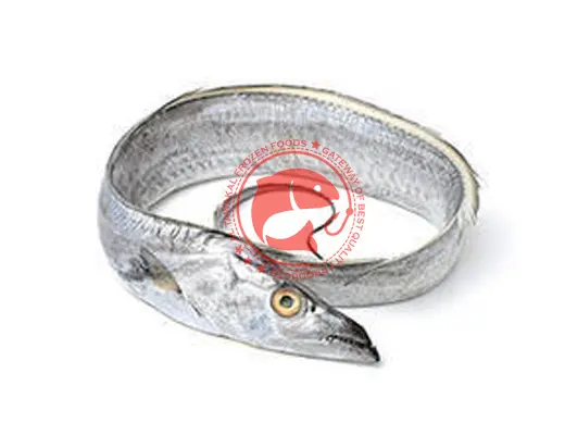 High Quality Frozen Ribbon Fish from Arabian Sea for Bulk Export Pakistani Origin Frozen Ribbon Fish