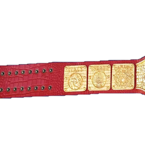 Cinturón de Campeonato Premium con Diseño de Águila Dorada y Correa Roja, Trofeo Deportivo de Alta Calidad - Product Image 5