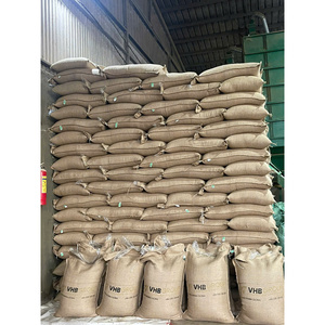 Café en grains ARABICA S14 du Vietnam - Product Image 3