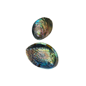 Vietnam Natural <b>Abalone</b> <b>Shell</b> Material for Jewelry Inlay Craft Projects Home Decor Accessories and Gift Making Supplies - Product Image 1