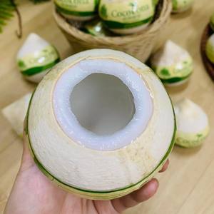 Coco pulido fresco de Vietnam adecuado para países de alto calor - Product Image 1