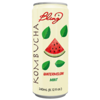 Jus de Kombucha Naturel Aromatisé en Gros Pastèque Menthe Prêt à Boire 240ml/320ml Purée ODM OEM Marque Privée Emballage en Boîte