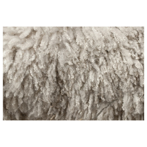 Bales de laine de mouton brute de qualité supérieure pour la production de fil, la fabrication de feutre et les solutions textiles durables - Product Image 1