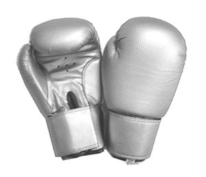Guantes de Boxeo Profesionales Wearpal Apparel, Guantes de Entrenamiento y Combate, 100% Cuero Genuino, Calidad Premium 2026 - Product Image 5