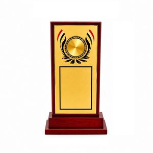 Placa de Trofeo de Madera Personalizable, Premio Conmemorativo de Madera Premium para Logros Deportivos, Escolares, Corporativos y Eventos de Reconocimiento - Product Image 1