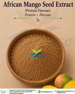 HGO Factory Direct Supply of African Mango Seed Extract (Protein Flavone) Food Grade Protein 5% <b>7</b>%-25%, Flavone 10% Standardized - Product Image 2