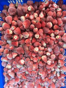 Fraises surgelées de qualité supérieure IQF entières du Vietnam Lam Dong, vente en gros - Mme Tarina par Viet D.E.L.T.A 1kg - Product Image 2