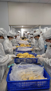 Durian Congelado 2026 - Suministro a Granel de Alta Calidad - Product Image 6