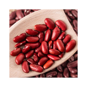 Frijoles Rojos al por Mayor, Frijoles Rojos Oscuros de Exportación, Frijoles Rojos Pequeños de Alta Calidad - Product Image 2
