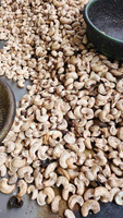 Biologische Knapperige Natuurlijk Geroosterde Gedroogde Cashewnoten Vietnam - Gezond Veganistisch Voedsel Topkwaliteit Groothandel Private Label OEM Service