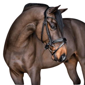 Bridon de saut d'obstacles en cuir marron avec accents noirs et sangles réglables pour l'équitation - Product Image 6