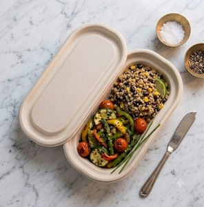 Contenedor Ovalado Compostable de 500 ml para Alimentos con Tapa - Caja para Llevar de Bagazo Blanco, Biodegradable y Apto para Microondas - Product Image 3