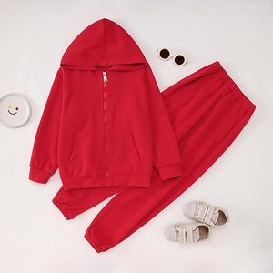Conjunto Deportivo Informal para Gimnasio y Entrenamiento, Chaqueta con Capucha y Pantalones Deportivos, Fabricante OEM ODM - Product Image 5