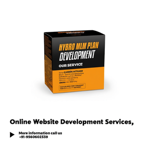 Servicios de Desarrollo de Sitios Web en Línea - Product Image 3