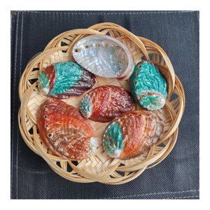เปลือกหอยเป๋าฮื้อเป็นมิตรกับสิ่งแวดล้อม วัสดุตกแต่งธรรมชาติสำหรับงานออกแบบเครื่องประดับ งาน DIY และงานศิลปะสร้างสรรค์ - Product Image 1