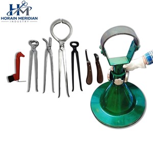 Kit d'outils professionnels pour fermeurs, pour le soin des sabots de cheval, le rembourrage, la réparation, les soins équins, le toilettage vétérinaire et l'entretien - Product Image 5