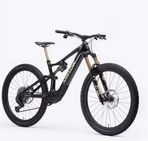 จักรยาน M0untain ไฟฟ้า2025 amflows PL Pro (800 WH) - Product Image 1