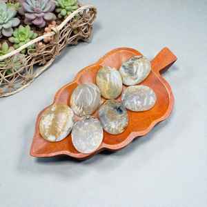 Pierre de palmier en dendrite de tigre naturelle polie 35x45x15 mm, décoration de pierre à main et collection de cristaux - Product Image 3