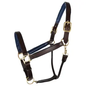Cabestro de Cuero Genuino de Primera Calidad para Montar a Caballo, Estilo Polo, Cabestro de Calidad para Carreras de Caballos - Product Image 3