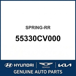 EV6 นิวลีฟและคอยล์สปริง 55330CV000 - Product Image 1
