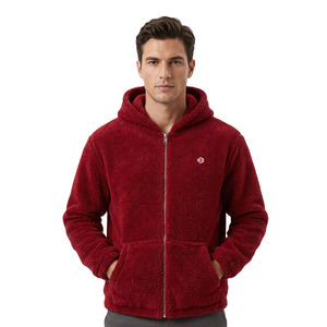 Sudaderas con capucha de forro polar Sherpa para hombre, gruesas y cálidas, estilo urbano de invierno, color liso, logotipo personalizado, ajuste oversize, venta al por mayor, proveedor OEM a granel - Product Image 1