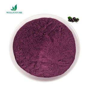 100% di frutta in polvere di frutta solubile in acqua biologica pura naturale alla rinfusa bevanda - Product Image 3