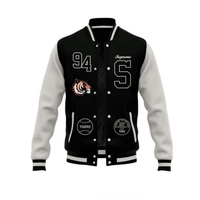 Veste universitaire élégante pour homme, style universitaire classique, vêtement d'extérieur de printemps, col montant, logo sur le devant, streetwear, coupe-vent, séchage rapide