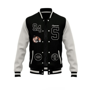Veste universitaire élégante pour homme, style universitaire classique, vêtement d'extérieur de printemps, col montant, logo sur le devant, streetwear, coupe-vent, séchage rapide - Product Image 1