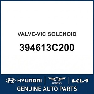 Grandeur/Azera Nouvelles pièces et accessoires pour voitures et camions 394613C200 - Product Image 1