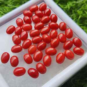 Lote de Piedras Preciosas Sueltas de Coral Rojo Natural, Cabujón Ovalado, Calibradas, Sin Tratar, Certificadas, para Joyería - Product Image 6