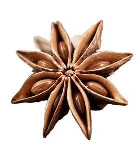 โป๊ยกั๊กสมุนไพรเดี่ยวและเครื่องเทศแปรรูป10กก. ได้รับการรับรอง2025โฆษณาพืชแห้งจากเวียดนาม - Product Image 1