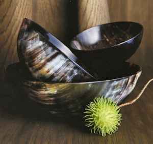 Bols en corne de luxe faits à la main pour servir les aliments et les salades, parfaits pour la maison, les fêtes et les mariages, en vente à prix imbattable. - Product Image 6