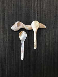 Cuillère à servir en nacre naturelle ILAHI, faite à la main, style bohème, blanche, non toxique, en plastique PE, pour fêtes, Uttar Pradesh - Product Image 1