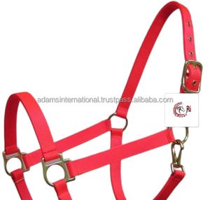 Cabestro de caballo negro de excelente calidad, hecho de cuero con ajuste de disponible - Product Image 4