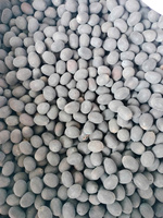 Bulk Groothandel Premium Kwaliteit Gedroogde Lotuszaden Vietnam Origin Exportlevering Met Consistente Betrouwbaarheid Concurrerende Prijzen