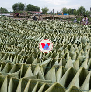 Hoja de loto seca para té: de loto fresco de alta calidad y buen precio - Product Image 4