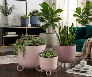 Maceta con Forma de Tazón, Recubierta de Hierro, Duradera, Multiusos, para Interiores, con Drenaje - Product Image 4